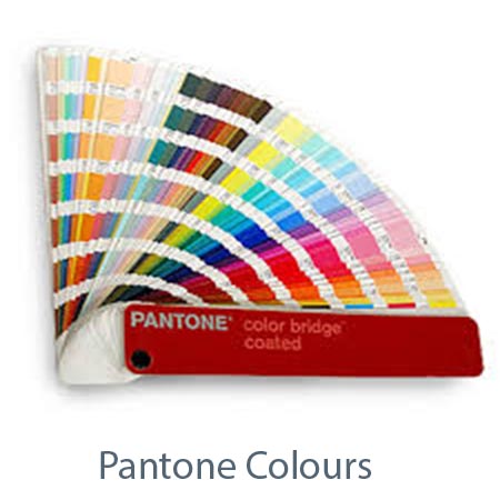 Kitchen Cabinet Paint